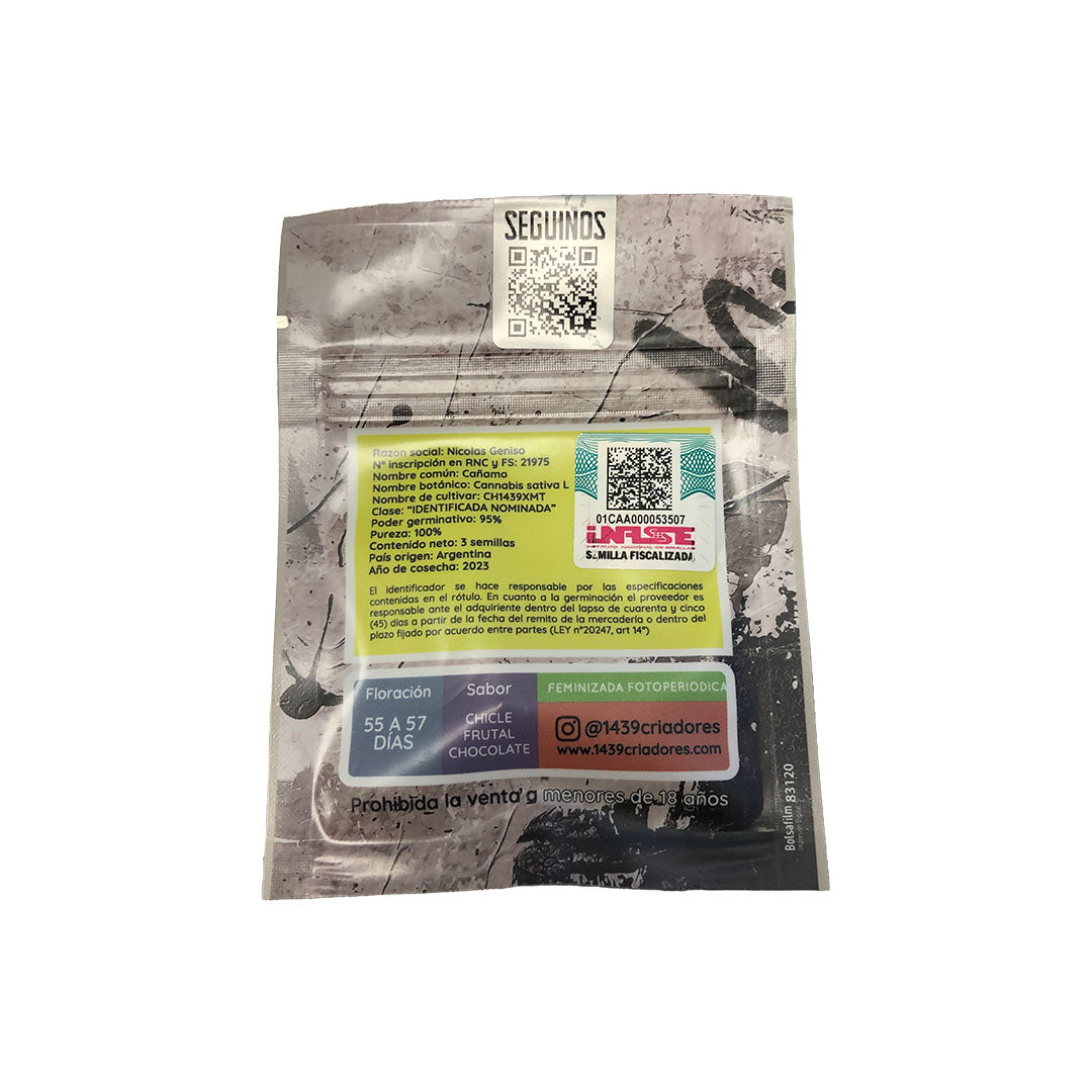Semilla Choco OG x 5 semillas