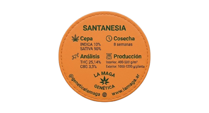 Santanesia La Maga