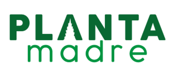 Planta Madre